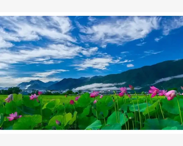 通过调理身体看中医 – 关注你的身体健康