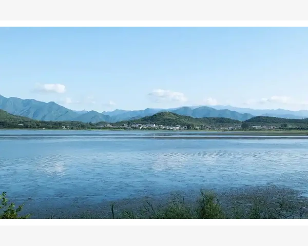 人体湿气重如何调理？健康的小妙招帮你快速恢复平衡